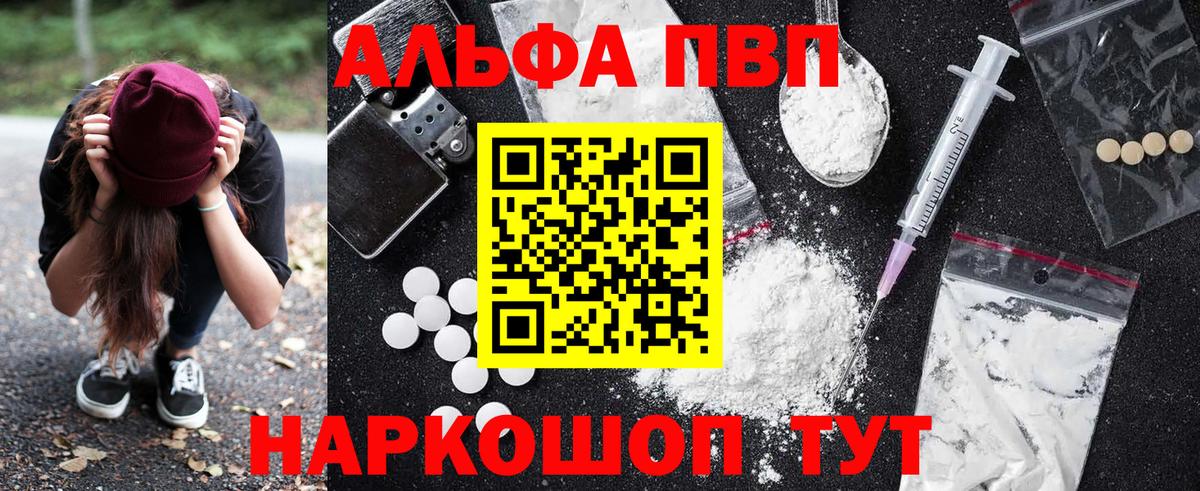 A PVP СК КРИС Пятигорск