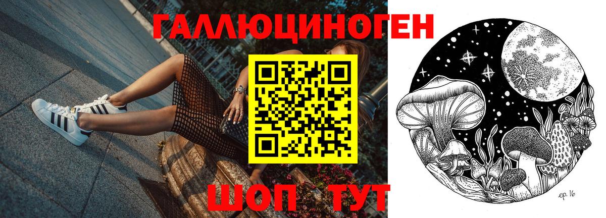 Псилоцибиновые грибы Cubensis  Вход с VPN  Пятигорск 
